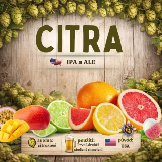 (2025) Chmel Citra - 100 g