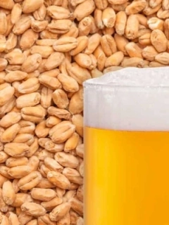 Slad Best Wheat (pšeničný)