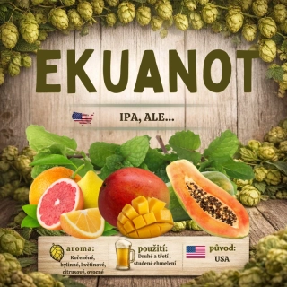 Chmel Ekuanot ( Equinox ) - 100 g