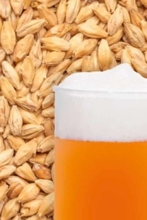 Slad Best Pale Ale
