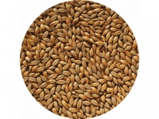 Crisp No 19 Maris Otter Ale Malt slad
