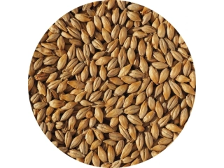 Crisp Dextrin slad