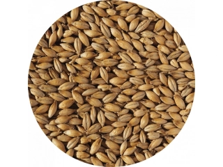 Crisp Haná slad