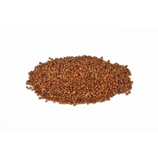 Zrna ráje 25 g